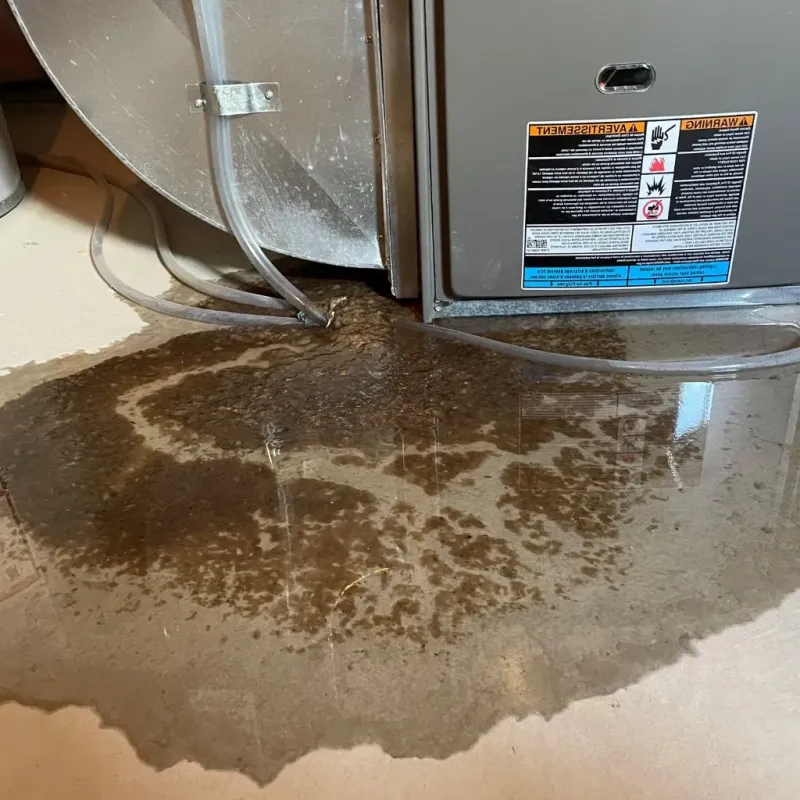Pipe Burst and Leak Restoration in Hayden, ID
